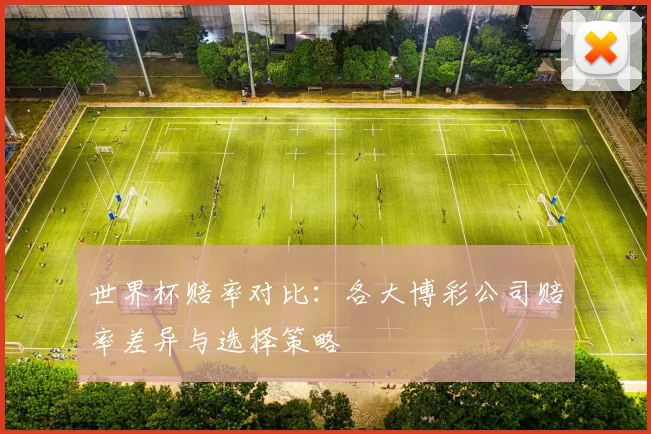 世界杯赔率对比：各大博彩公司赔率差异与选择策略