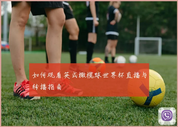 如何观看英式橄榄球世界杯直播与转播指南